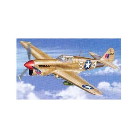 Maquette Franklin Mint P-40 Warhawk – 1/48, Diecast, USAAF, 37 FG, 65 FS