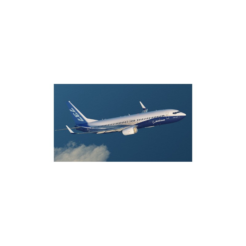 Flight Simulator Rntal BOEING 737NG: 1 Hour BOEING 737 FLIGHT SIMULATOR Rental. FLIGHT with ...
